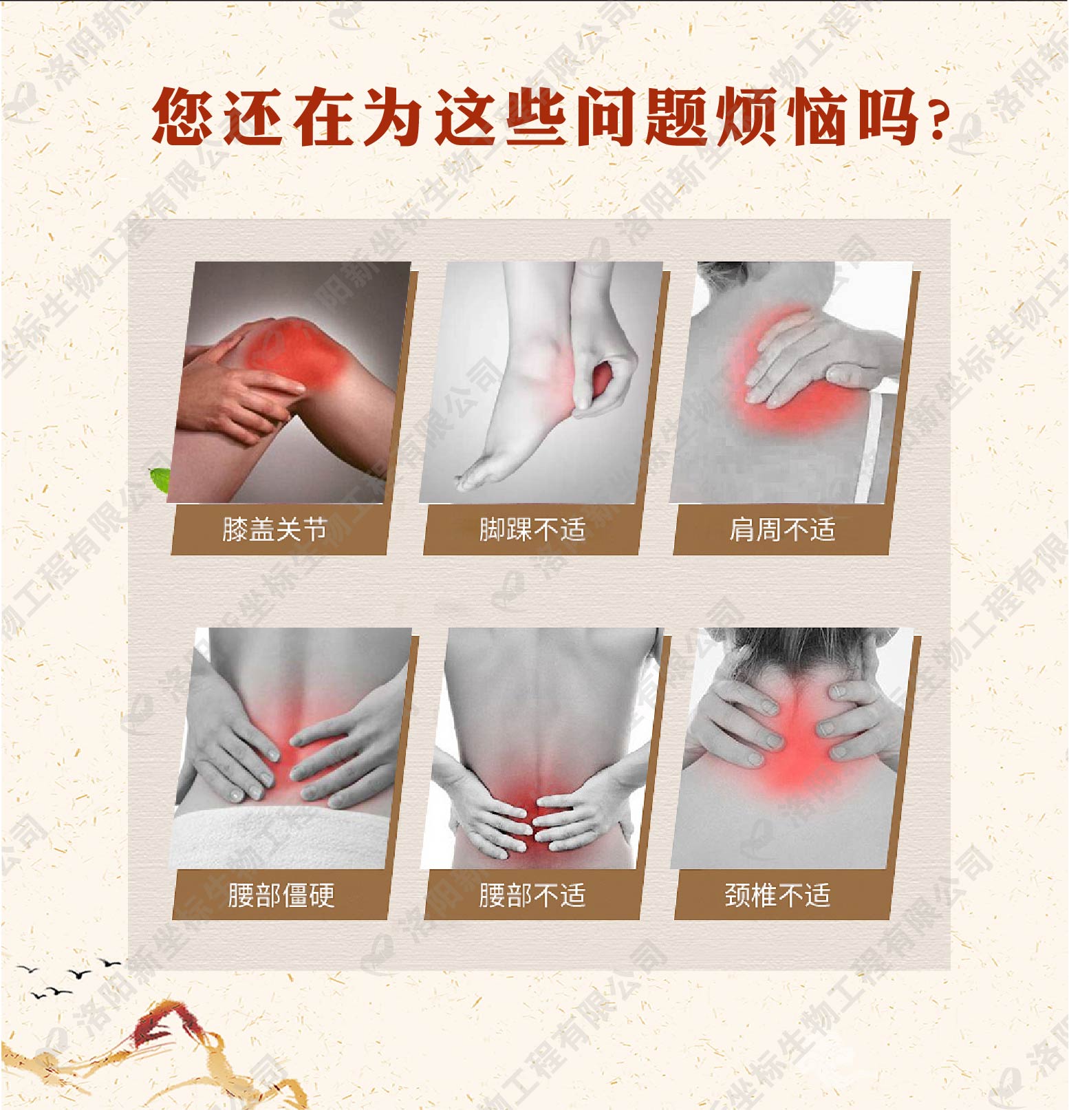 1576285602457882.jpg 1576285602457882.jpg